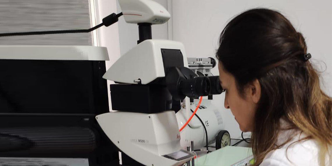 Erzurum Atatürk Üniversitesi Su Ürünleri Fakültesi Su Ürünleri Yetiştiriciliği Bölümü Öğretim Üyesi Prof. Dr. Abdulkadir Bayır ve ekibi tarafından Karadeniz alabalığının mutantı üretildi.