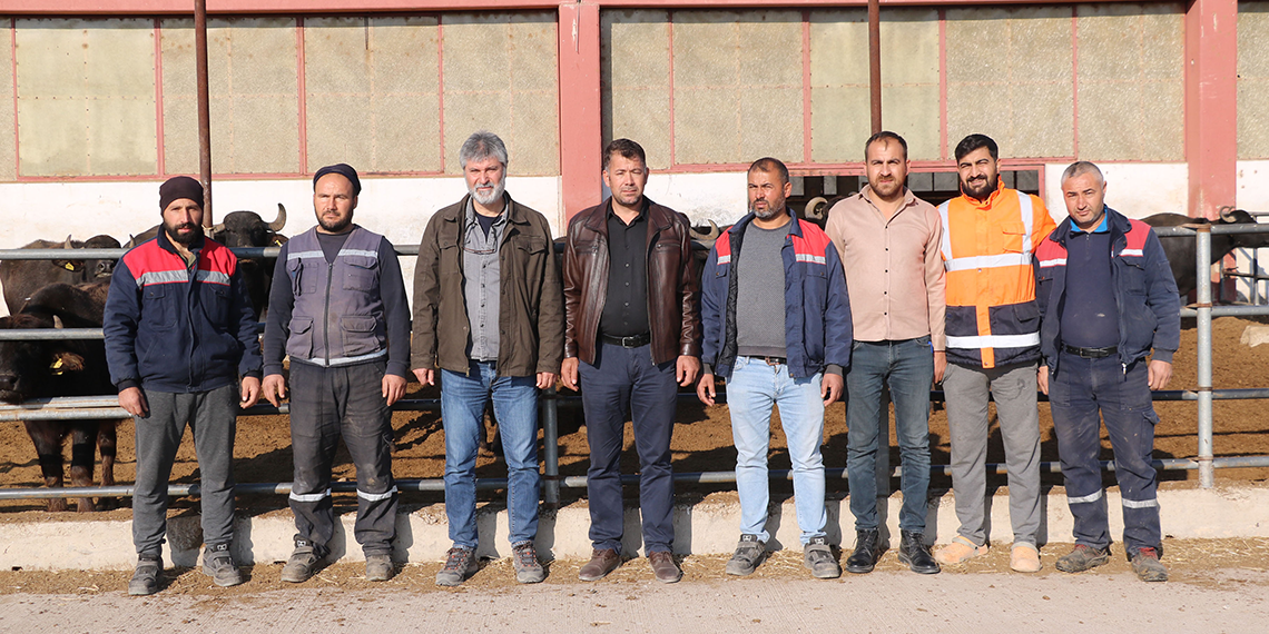 Mandaların et ve süt verimliliğini artıracak çalışma