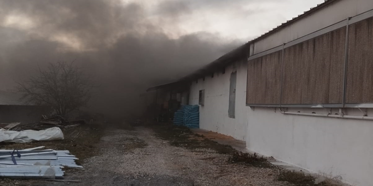 Mersin'deki çiftlik yangınında zarar 10 milyon TL