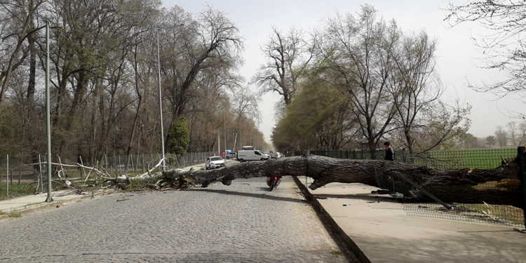 Meteoroloji'den Marmara'nın batısı için fırtına uyarısı