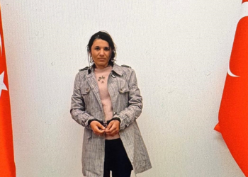 PKK'lı terörist Şanlıurfa'da teslim oldu