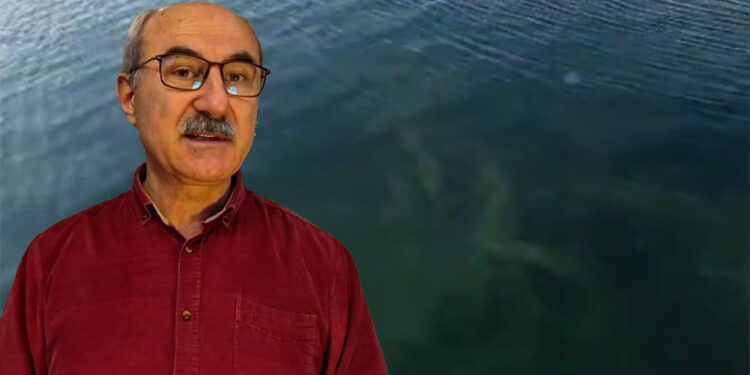 Müsilaj örümcek ağı gibi bütün Marmara'yı sarmış durumda