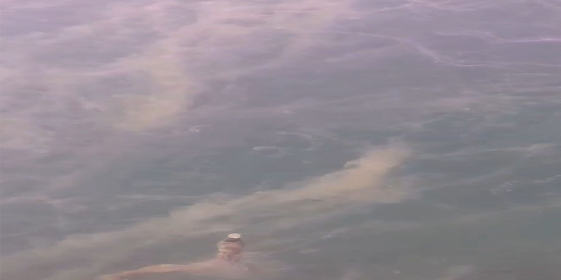 Bandırma Onyedi Eylül Üniversitesi Denizcilik Fakültesi Dekanı Prof. Dr. Mustafa Sarı, "Bugün itibarıyla Gemlik Körfezi'nde, İstanbul adalarının çevresinde ve Yalova Çınarcık bölgesinde 5-25 metre aralığındaki müsilaj örümcek ağı gibi bütün Marmara'yı sarmış durumda" dedi.