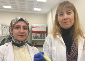 Pansuman değişimini ortadan kaldıran ‘yara örtüsü’ geliştiriliyor