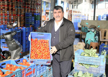Seraları soğuk vurdu; ürün azaldı, fiyatlar arttı