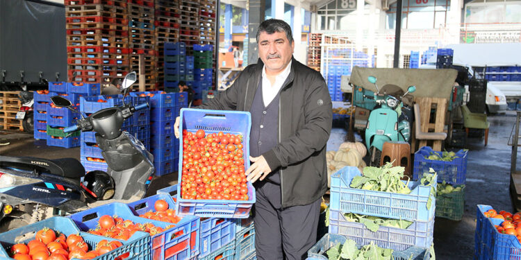 Seraları soğuk vurdu; ürün azaldı, fiyatlar arttı