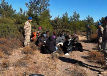 Kalkan-33 operasyonlarında 49 kişi tutuklandı