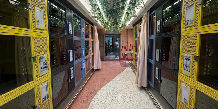 İstanbul Havalimanı’nda Pet Lounge hizmeti başladı