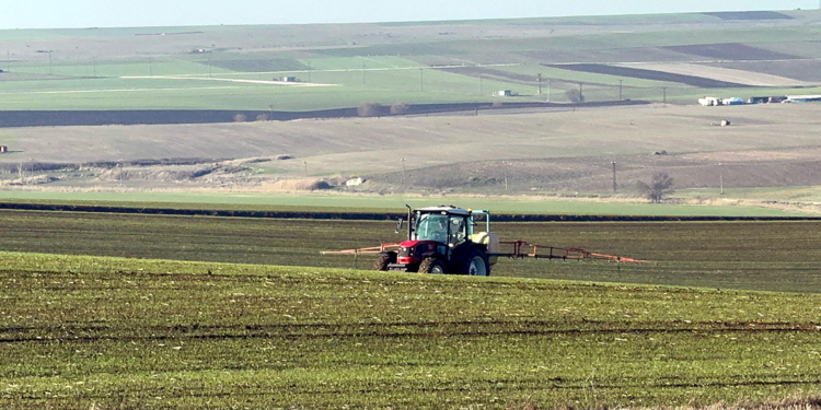 Trakya'da son 6 aydır çok ciddi bir kuraklık yaşandı