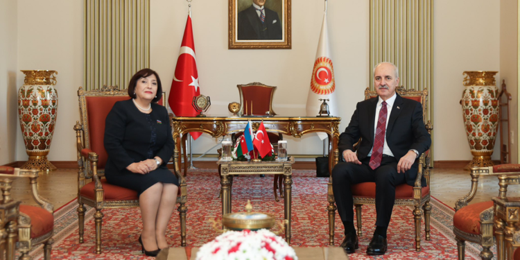 Türk dünyası, önemli bir barış kuşağını oluşturacak