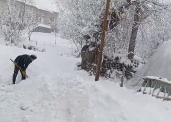 Van'da kar yağışı nedeniyle 163 yerleşim yeri ulaşıma kapandı