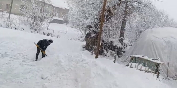 Van'da kar yağışı nedeniyle 163 yerleşim yeri ulaşıma kapandı