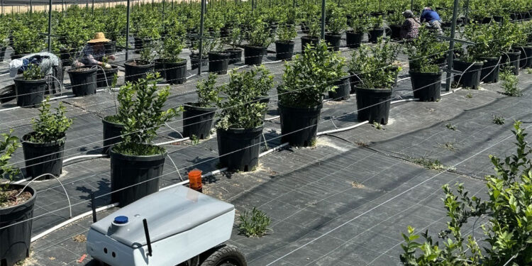 YTÜ Yıldız Teknopark şirketi Türkiye'yi CERN'de temsil edecek