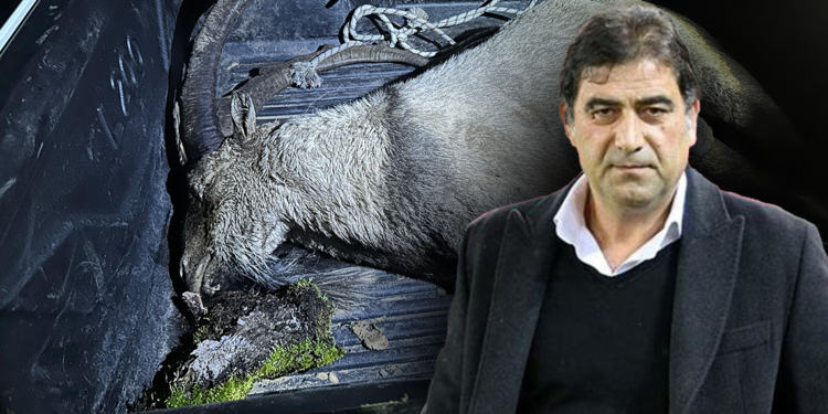 Yaban keçisi avlayan İYİ Parti milletvekiline 700 bin TL ceza