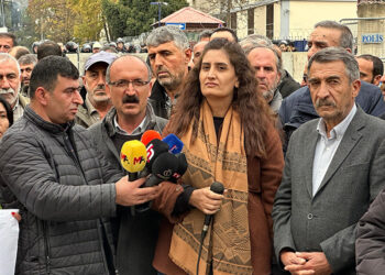 Tunceli Belediye Eş Başkanı Birsen Orhan tahliye edildi