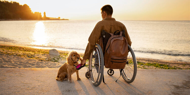 Dünya Engelliler Günü: Empatiyle daha güzel bir dünya