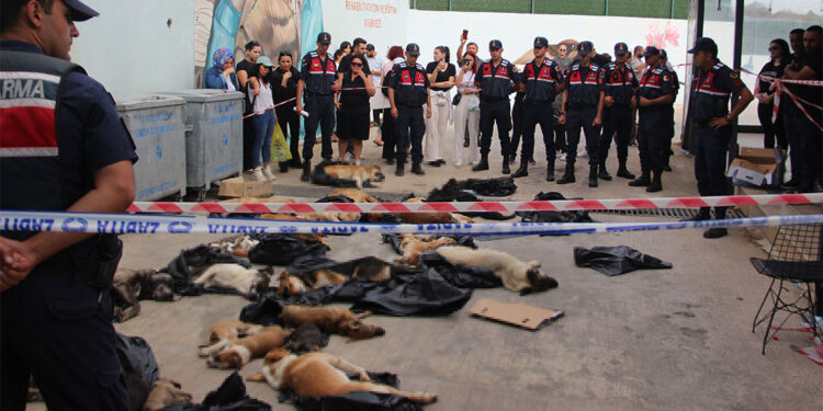 Katliam yasası yönetmeliğine sert tepki; Bu günaha ortak olmayın