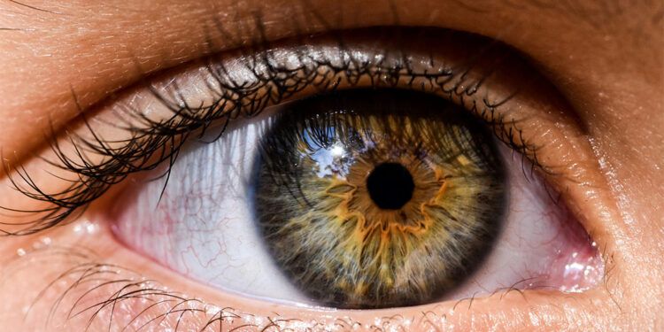 Dünya nüfusunun yarısı miyopi olacak