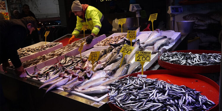 Hamsi göçüyor palamut bereketi sürüyor