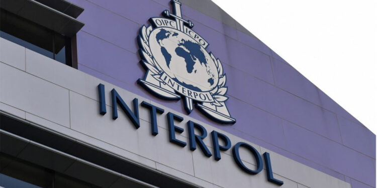 İnterpol tarafından aranan Çeçenistan uyruklu DEAŞ şüphelisi İstanbul'da tutuklandı