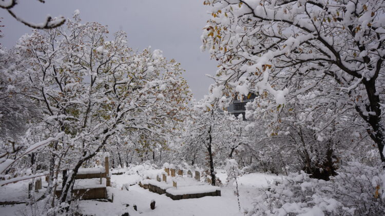 Şavşat ve Yusufeli'nde eğitime kar engeli