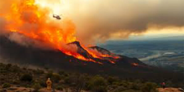 Avustralya'daki orman yangınında 66 bin hektar alan kül oldu