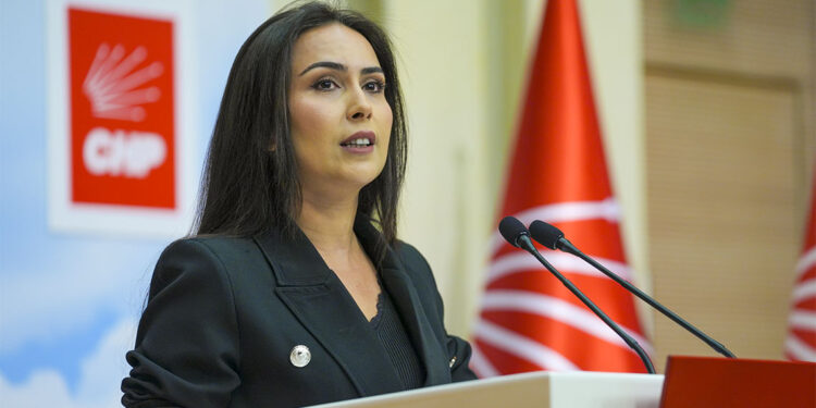 2025 yılı bütçesi denetimsizliğin metni olarak karşımızda duruyor