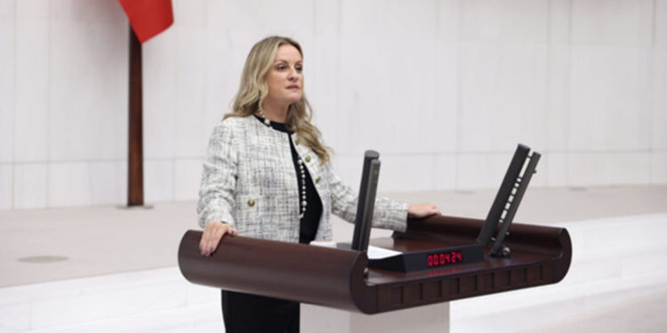 Sınırdan dönen kuru incir Meclis gündeminde