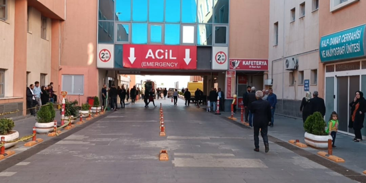 12 yaşındaki çocuk, tüfekle oynarken annesini vurdu