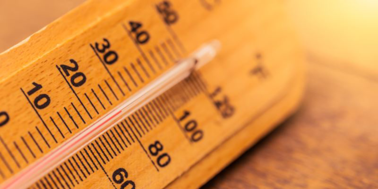 2024'ün en yüksek sıcaklık değeri 47,8 derece ile Şanlıurfa'da ölçüldü