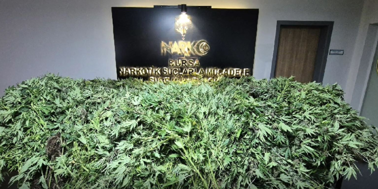 3 katlı binada kenevir yetiştirip uyuşturucu imal eden 5 kişiye gözaltı