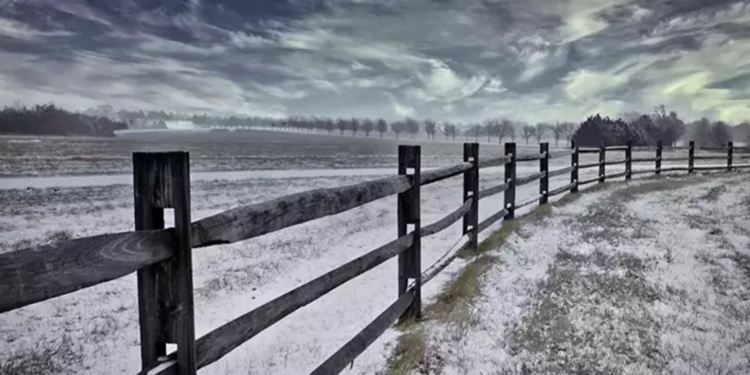 ABD'de 5 eyalette olağanüstü hal ilan edildi