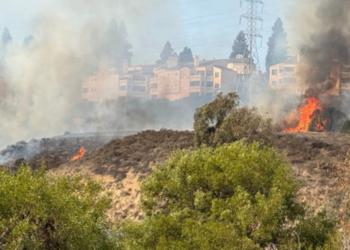 ABD'nin San Diego bölgesinde yangın riski sürüyor