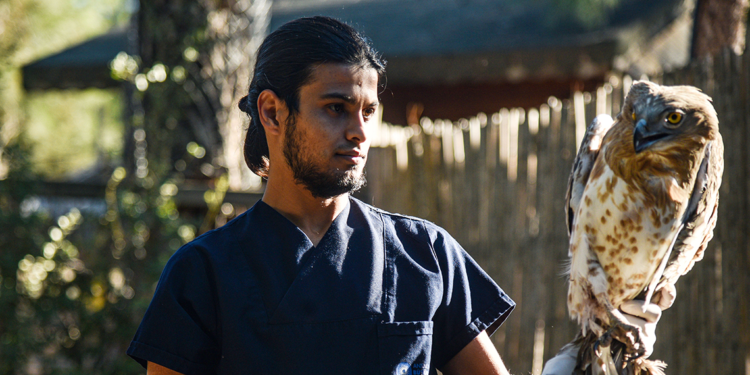 Antalya Doğal Yaşam Parkı'nda geçen yıl 1171 hayvan tedavi edildi