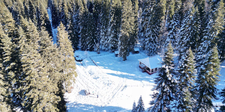 Bartın'ın yüksek kesimlerinde kar güzelliği