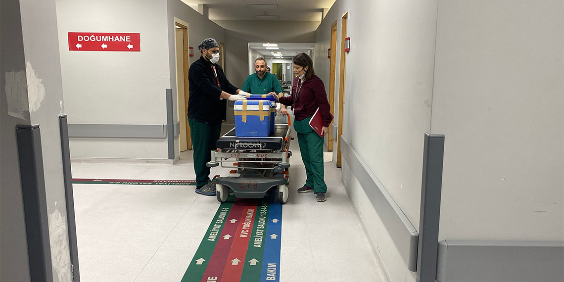 Rize’de geçirdiği trafik kazası sonrası tedaviye alındığı hastanede beyin ölümü gerçekleşen Medine Yılmaz'ın (18) karaciğeri, böbrekleri ve korneaları, 5 hastaya umut oldu.