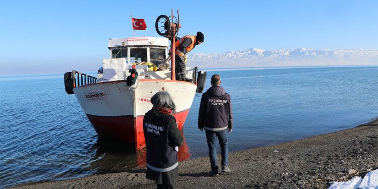 Erçek Gölü balıkçıların geçim kaynağı oldu