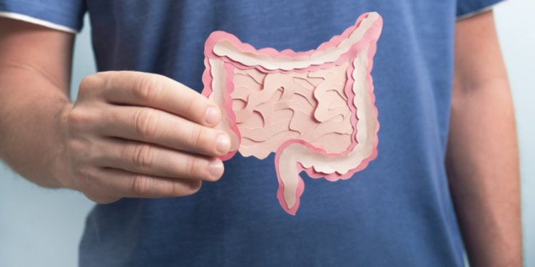 Bağırsaklardaki bağışıklık hücreleri, mikroplara karşı kalıcı savunma sağlıyor