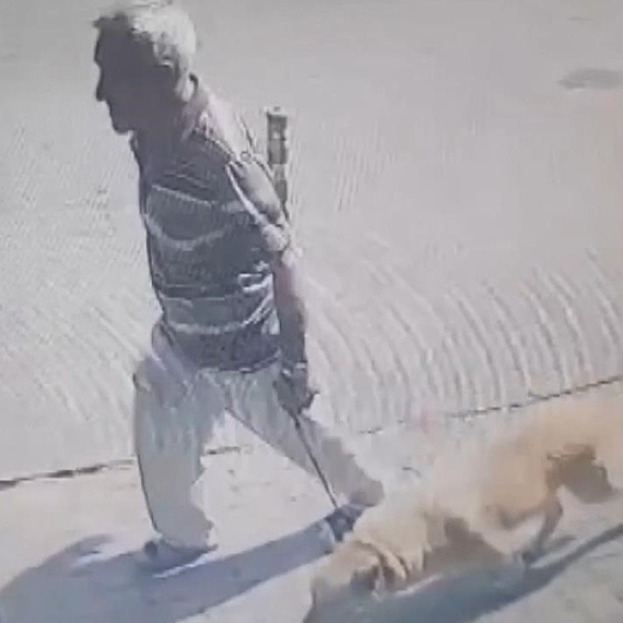 Bakırköy'de köpeğe istismar şüphelisine 1 yıl 6 ay hapis cezası