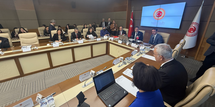 'Bebek Ölümlerini Araştırma Komisyonu' toplandı