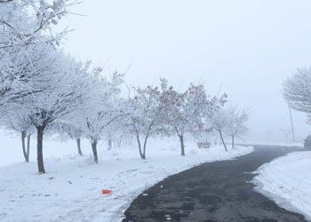 Bitlis'te ağaçlar kırağı tuttu