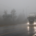 Bolu Dağı'nda sis ve yağmur