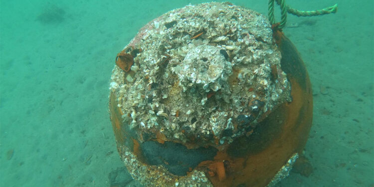 Çanakkale'de denizde bulunan mayın imha edildi