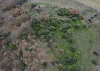 Çanakkale'de Hermaion Antik Kenti'nin yeri de keşfedildi