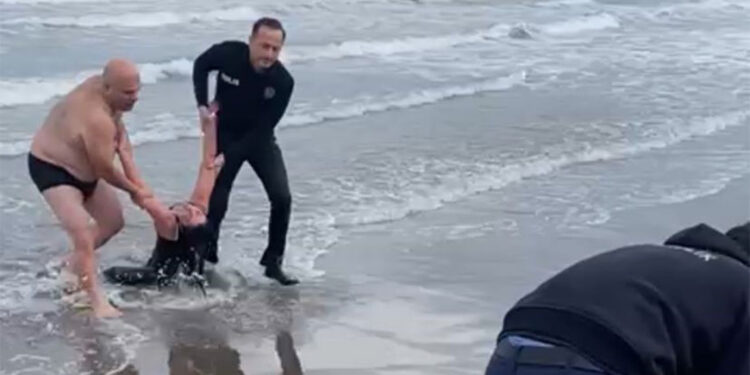 Denize atlayan kadını polis memuru kurtardı; o anlar kamerada