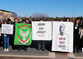 Dicle Üniversitesi'nde Rojin Kabaiş için eylem