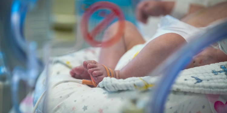 Doğuştan kalp hastası prematüre bebek hayata tutundu