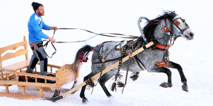 Atlı Kızak Türkiye Şampiyonası'nda birinci belli oldu