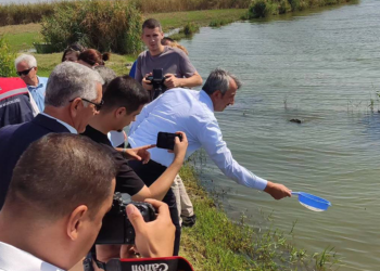 Edirne'de 2024 yılında 10 milyon sazan balığı yavrusu üretildi