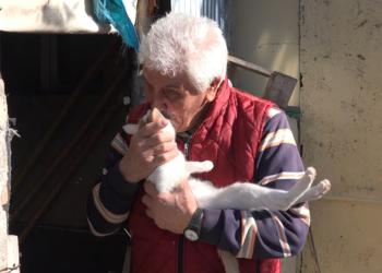Emekli olup köyüne yerleşti, 29 köpek ve 30'dan fazla kediye bakıyor